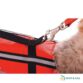 Gilets de sauvetage pour chiens attache